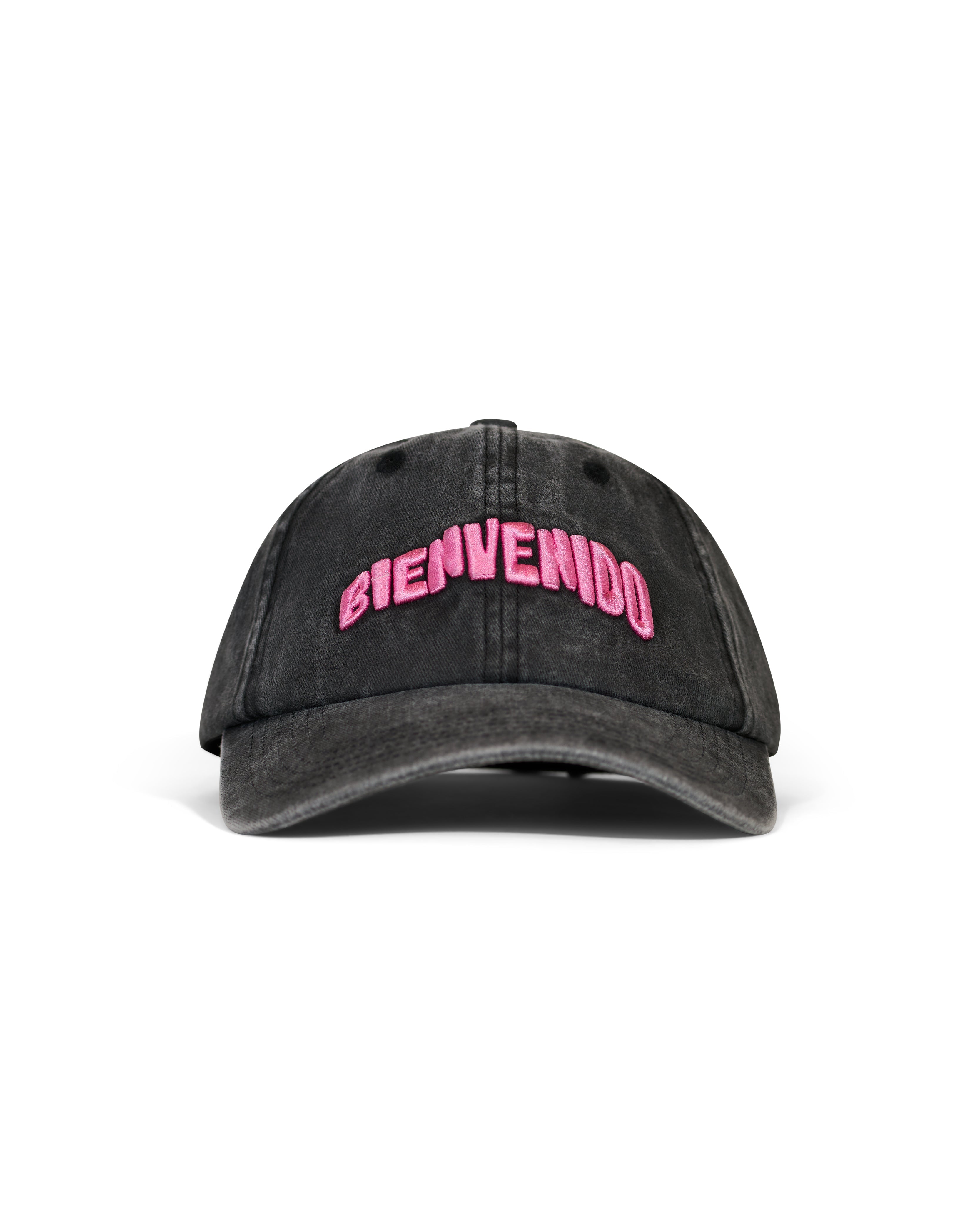 Bienvenido